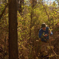 Field Shot 2
